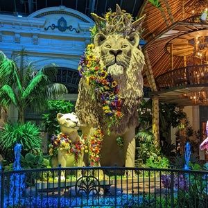 Meet your Posher, Laurie